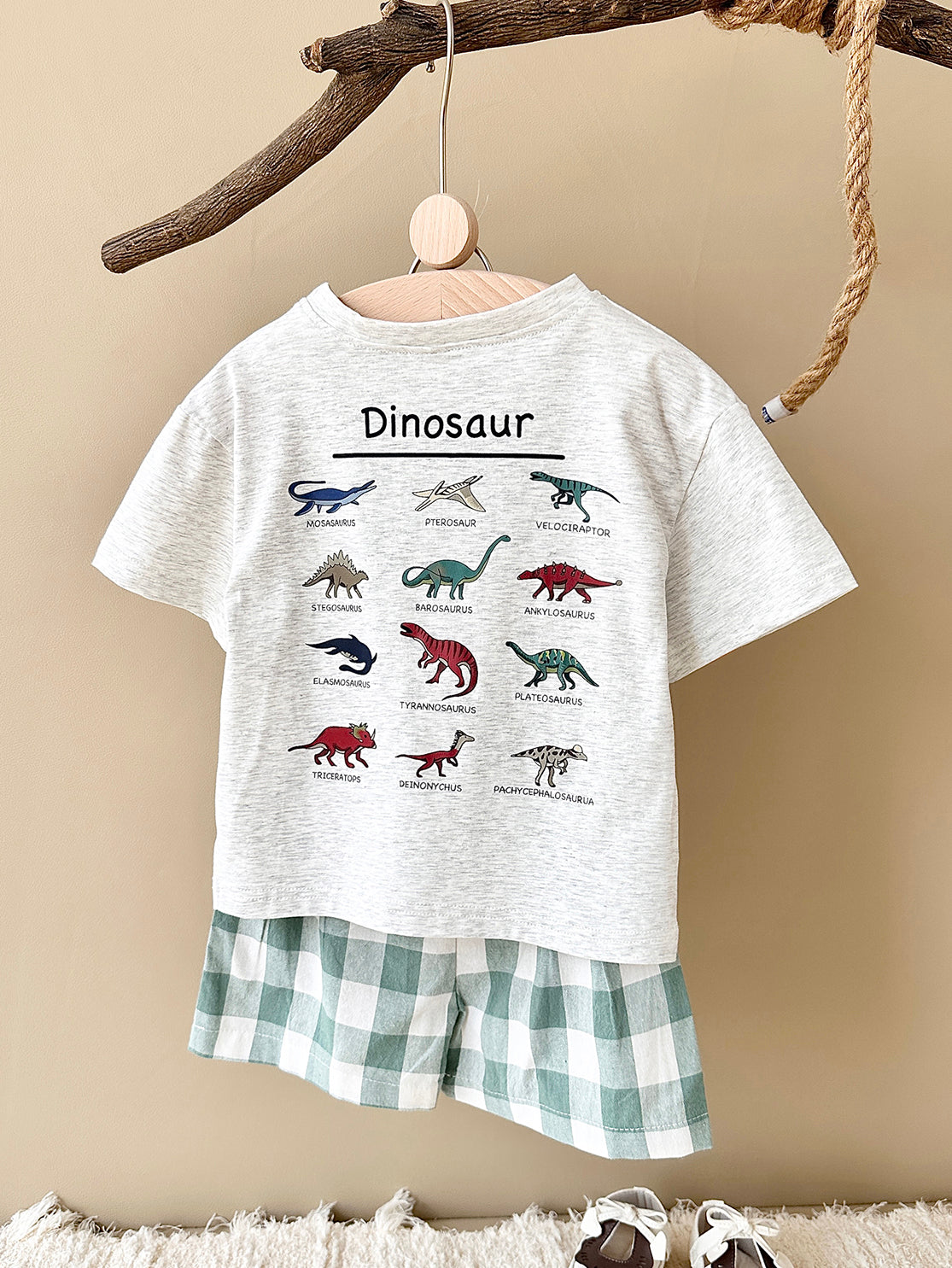 Summer Cartoon Dinosaur Print Short Sleeve T-shirt & Plaid Shorts