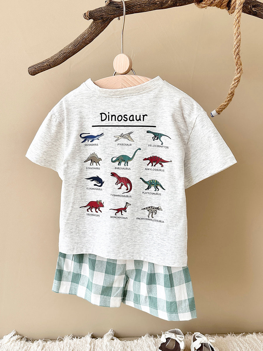Summer Cartoon Dinosaur Print Short Sleeve T-shirt & Plaid Shorts