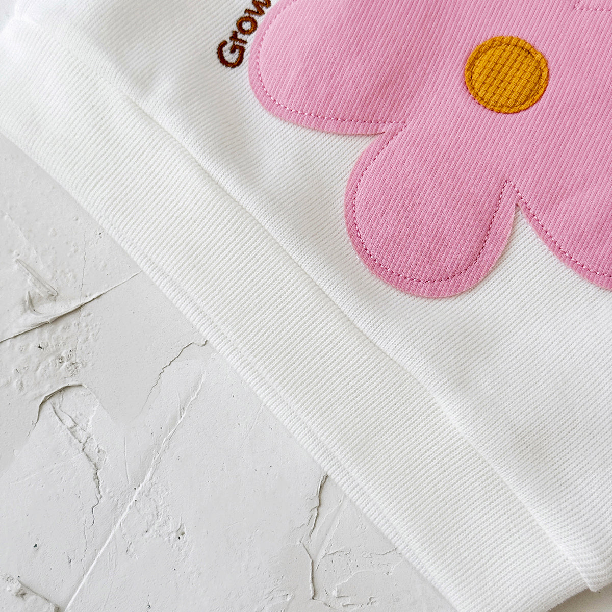 Baby Girl Applique Embroidered Long Sleeve Top and Pants Set Spring Autumn 0-3 Years Old