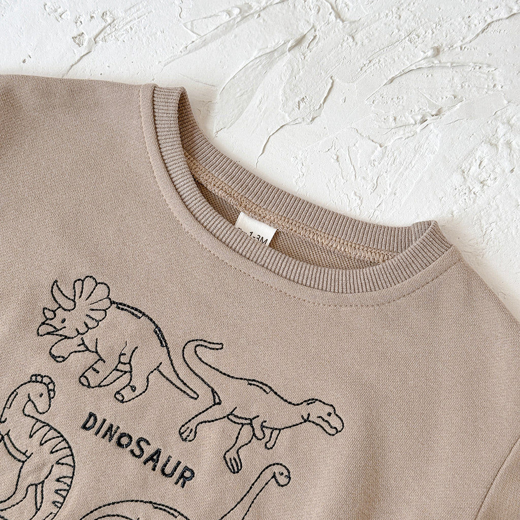Baby Dinosaur Embroidered Cotton Blend Long Sleeve Romper 1-18Months