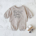 Baby Boy Dinosaur Embroidered Long Sleeve Top and Pants Set Spring Autumn 0-3 Years Old