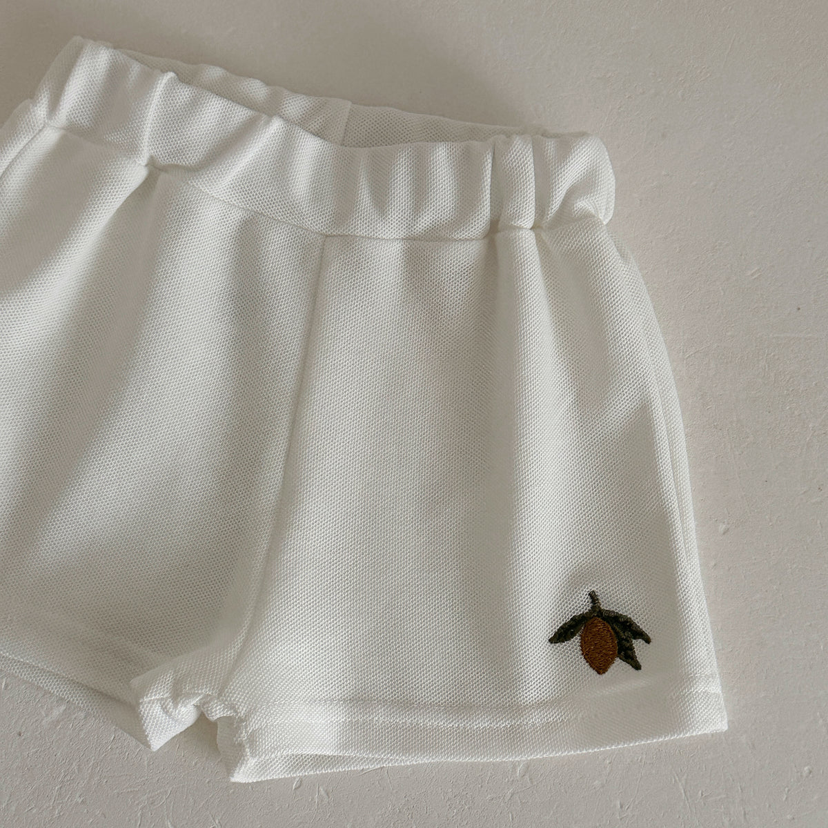 Baby Boy Acorn Embroidery Polo Shirt Shorts Set