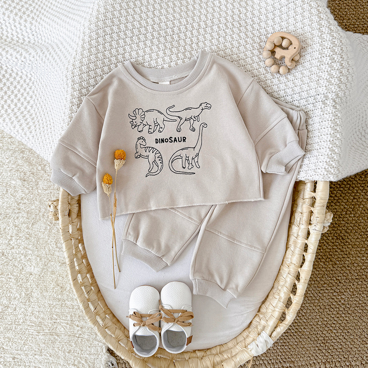 Baby Boy Dinosaur Embroidered Long Sleeve Top and Pants Set Spring Autumn 0-3 Years Old