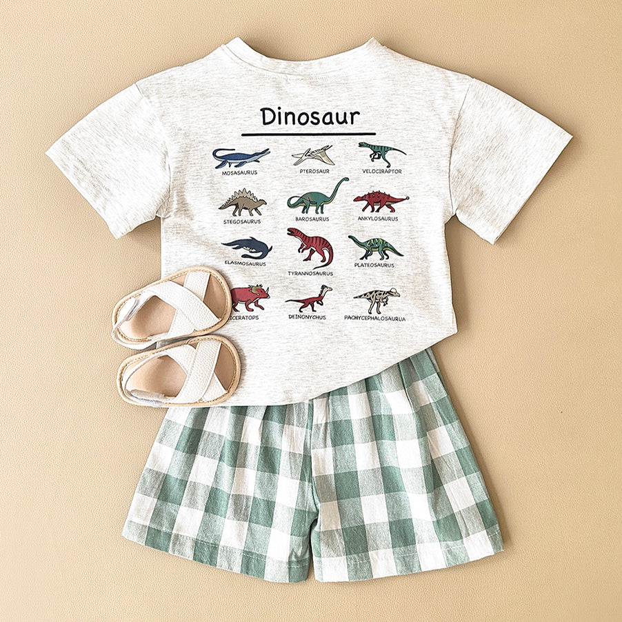 Summer Cartoon Dinosaur Print Short Sleeve T-shirt & Plaid Shorts