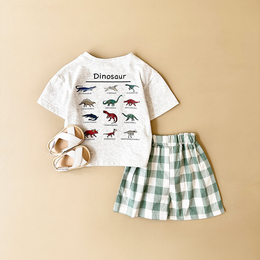 Summer Cartoon Dinosaur Print Short Sleeve T-shirt & Plaid Shorts