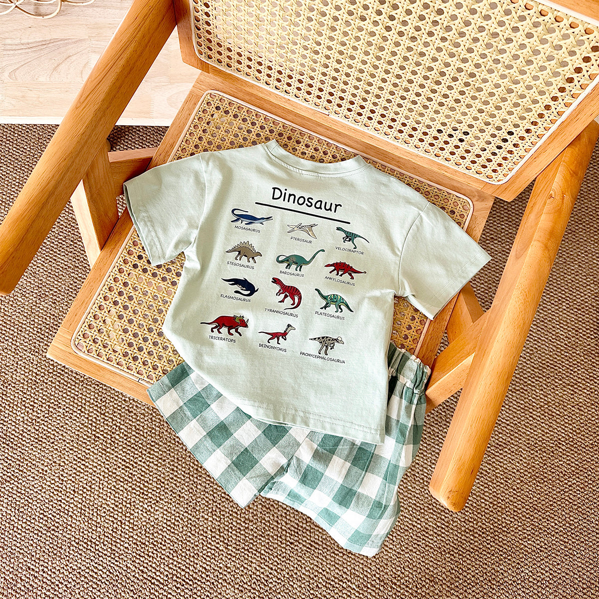 Summer Cartoon Dinosaur Print Short Sleeve T-shirt & Plaid Shorts